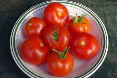 Caractéristiques des variétés de tomate Belle f1