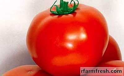 Caractéristiques et description de la variété de tomate Dar Zavolzhye
