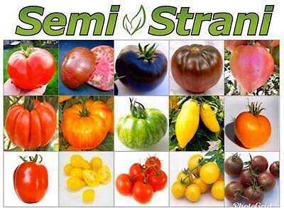Caractéristiques et description des variétés de tomates White Bulk