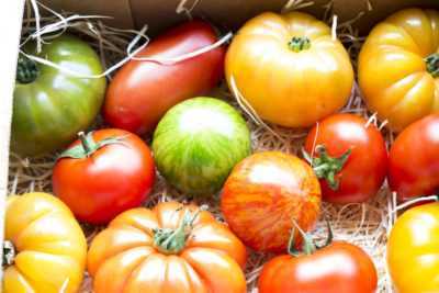 Caractéristiques surprenantes de la tomate