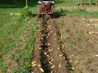 Comment fabriquer une arracheuse de pommes de terre pour un mini tracteur