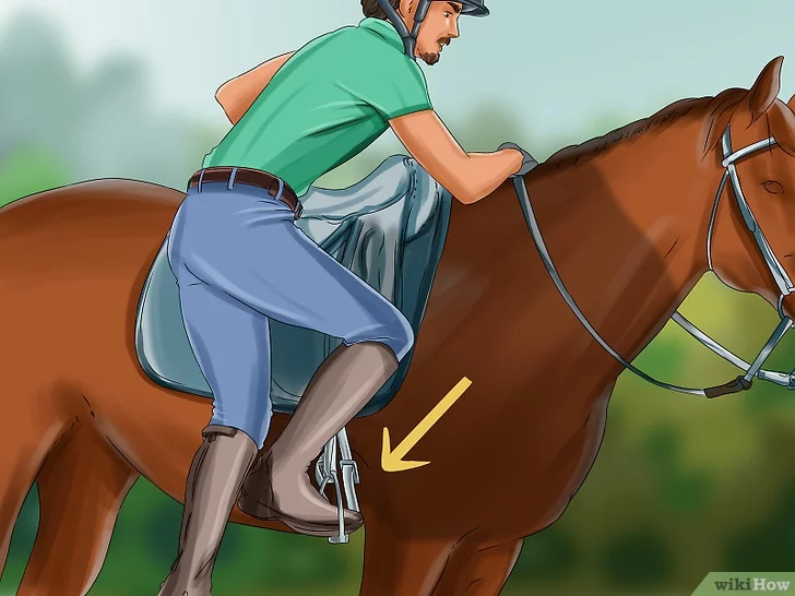 Comment monter à cheval en montant