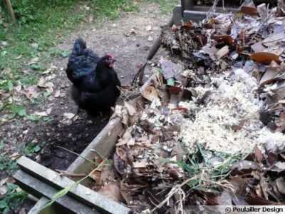 Comment utiliser les crottes de pigeon pour fertiliser le sol