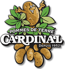 Description de Cardinal de pomme de terre