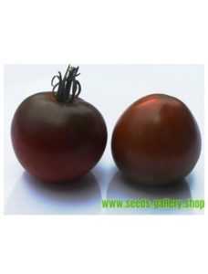 Description de la variété de pomme de terre Black Prince