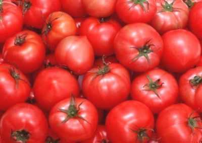 Description de la variété de tomates Hali-Gali