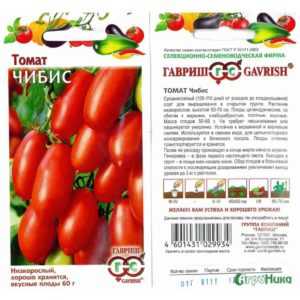 Description des tomates Chibis
