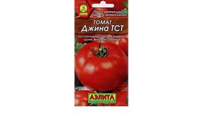 Description des tomates Gina TST