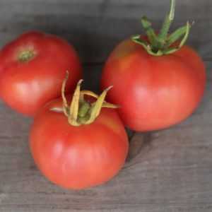 Description des tomates noires Mikado