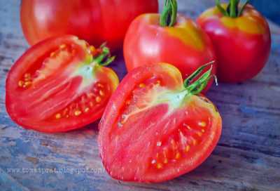 Description des variétés de tomates Grushovka