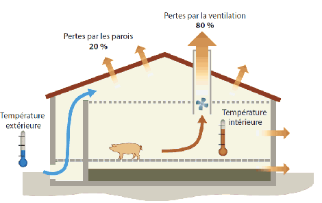 Dispositif de ventilation pour porcins