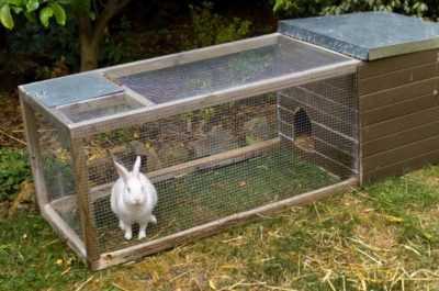 Faire des cages de lapin par nous-mêmes