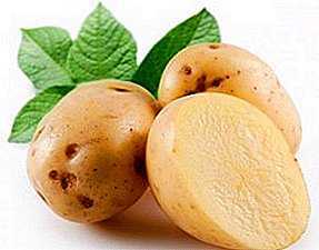 Les meilleures variétés de pommes de terre pour la Sibérie