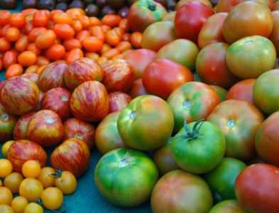 Les meilleures variétés de tomates pour 2019