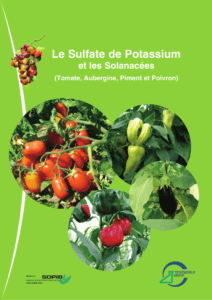 L'utilisation du sulfate de potassium pour les tomates