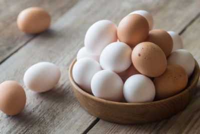 Pourquoi un poulet porte-t-il des œufs sans coquilles