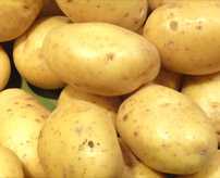 Quelle est la teneur en calories des pommes de terre pour 100 grammes