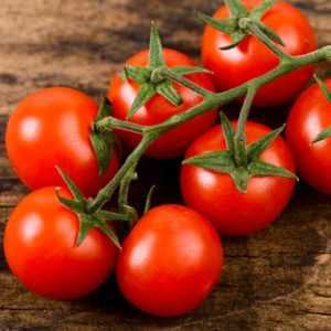 Quelles sont les graines de tomate trempées dans