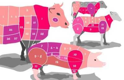Qu'est-ce que la viande de porc utile