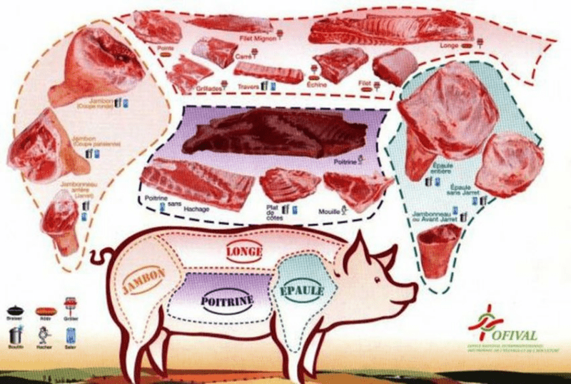 Schéma de découpe de porc ou de carcasse de porc