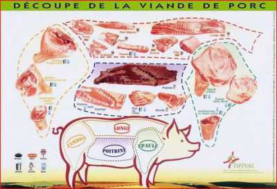 Schéma de découpe des carcasses de porc