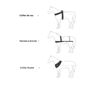 Types de harnais pour chevaux