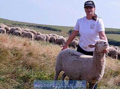 Variétés populaires de moutons de races à viande