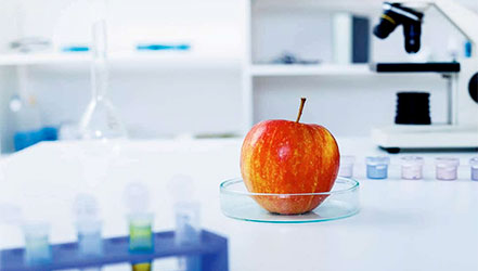 Pomme en laboratoire