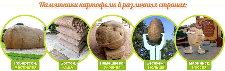 Monuments aux pommes de terre dans les villes : Robertson (Australie), Boston (USA), Nemeshaevo (Ukraine), Besekezh (Pologne), Mariinsk (Russie)