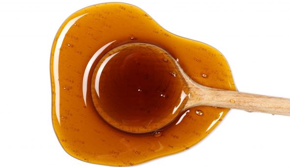 Miel d'angélique: propriétés utiles et méthodes d'application