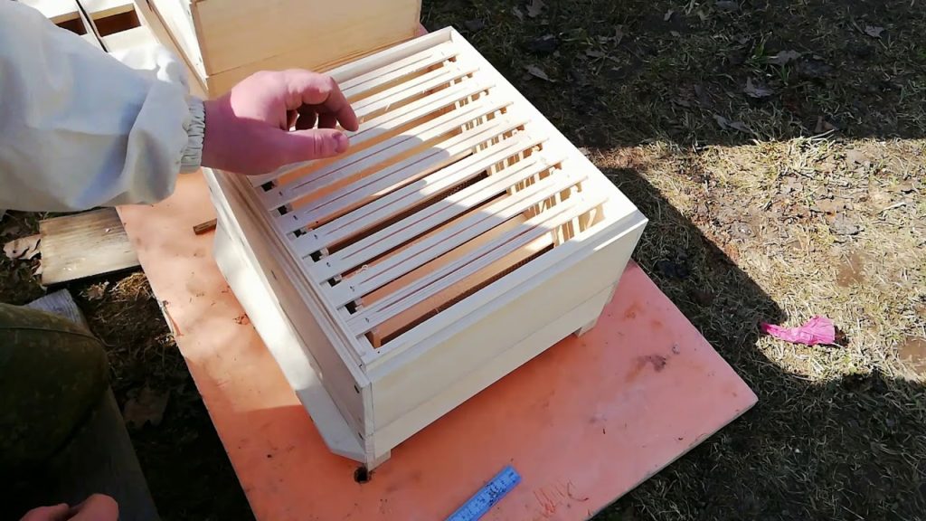 Boa constrictor de la ruche - fabrication de ses propres mains
