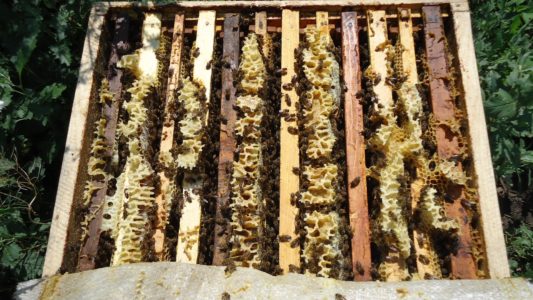 Qu'est-ce que la superposition d'abeilles et comment les faire?
