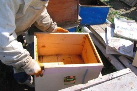 Calendrier de travail de l'apiculteur par mois