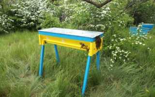Bricolage ruche kenyane