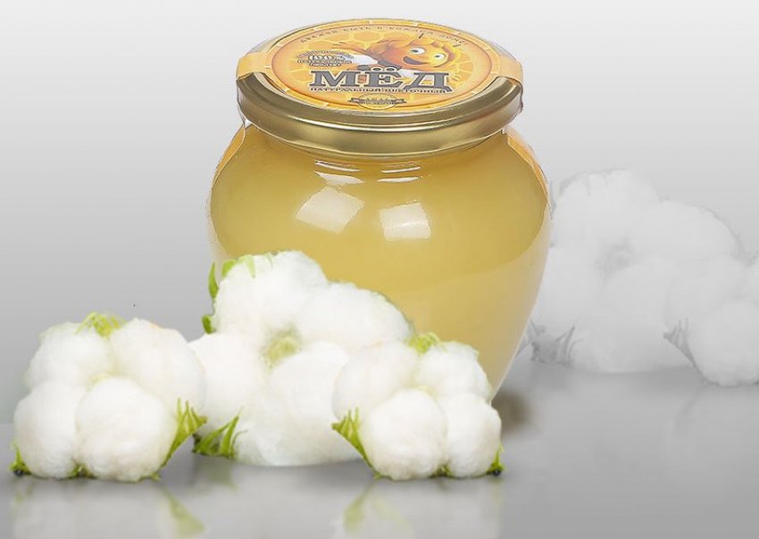 Le miel est blanc : pourquoi est-il blanc, quelles en sont les variétés et les bienfaits