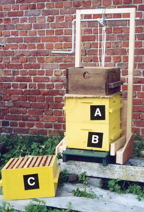 élévateur de ruche en fonctionnement