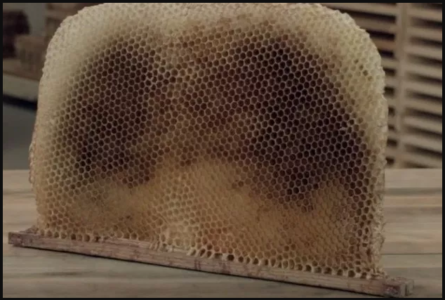 A propos de la ruche de Varre : assemblage avec plans