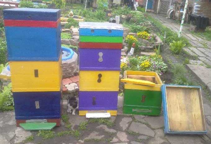 Choisir une couleur de peinture pour une ruche d’abeilles