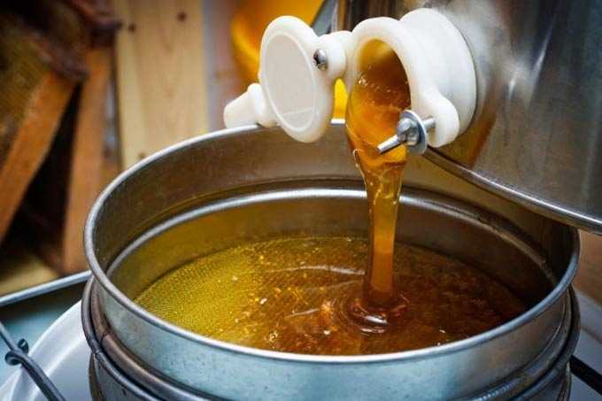 Intoxication au miel – mythe ou réalité