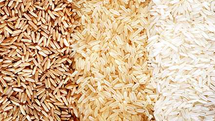 Types de riz