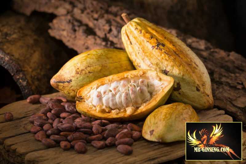 Fruit de cacao - propriétés utiles et dangereuses du fruit de cacao, Calories, avantages et inconvénients, Propriétés utiles