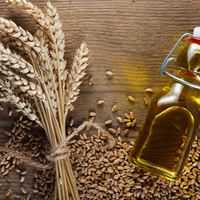 Huile de germe de blé, Calories, bienfaits et inconvénients, Propriétés utiles