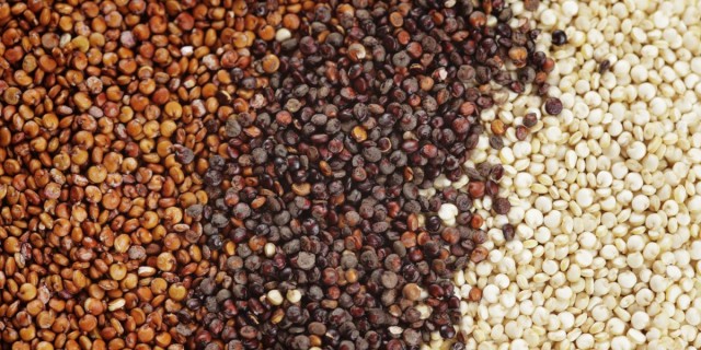 Grains de quinoa