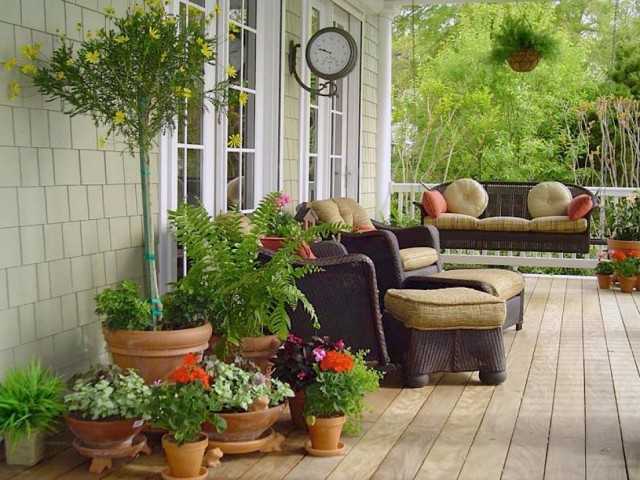 Approche floristique de la conception de l'aire de loisirs - Belles plantes d'intérieur