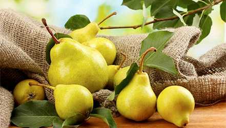 Pear, Calories, fa’idodi da cutarwa, Kaddarorin masu amfani –