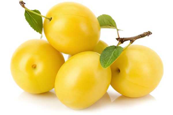 Cherry plum fa’idodin, kaddarorin, abun ciki na caloric, kaddarorin masu amfani da cutarwa. –