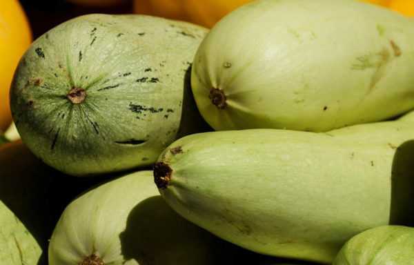 Bambance-bambancen zucchini na kabewa –