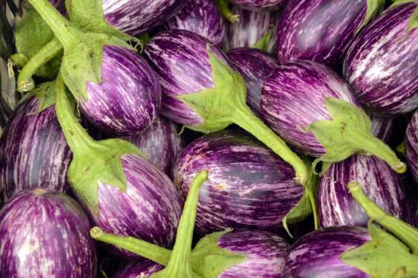 Ba a ɗaure eggplant a lokacin flowering –