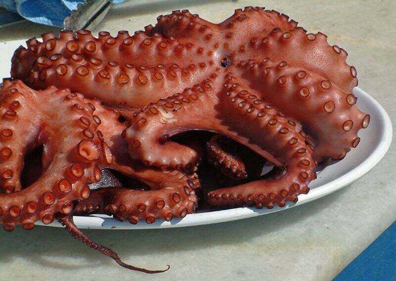 Octopus, Calories, fa’idodi da cutarwa, Kaddarorin masu amfani –