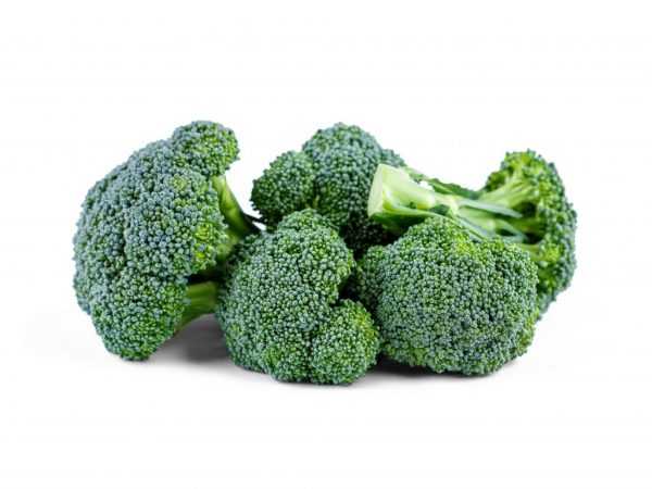 Aturan untuk menanam brokoli di pinggiran kota –